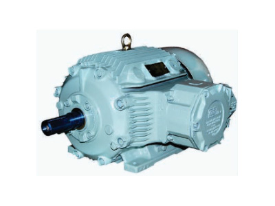 Om India Export Ginning Machine and Spare Parts - Electric Motor